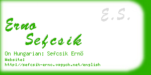 erno sefcsik business card